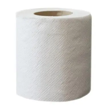 PAPIER TOILETTE 2 EPAISSEURS PAR 8 RLX